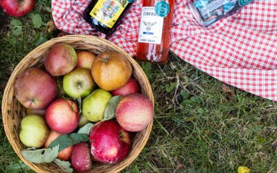 Les pommes à cidre : spécificités, assemblages et variétés remarquables